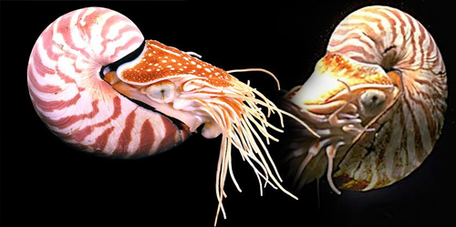 Introducción a la arquitectura