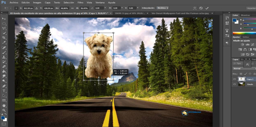 trabajo con photoshop