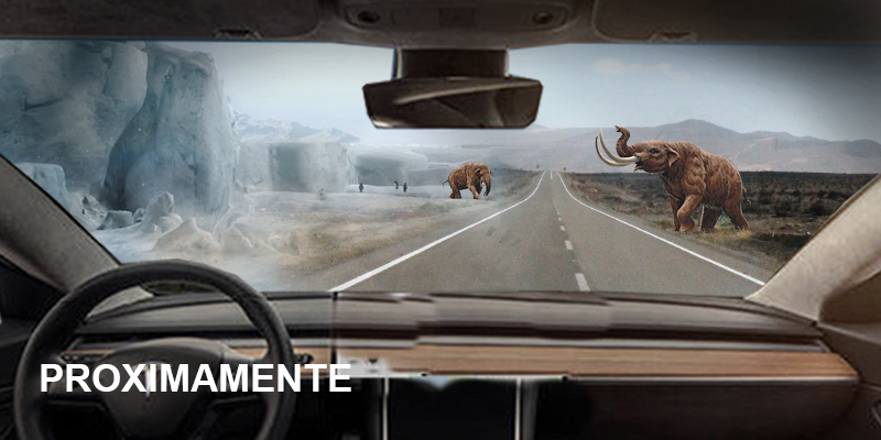 Juego educativo Harlot El Hombre de la pizarra